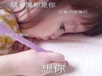保定白沟新城关红花店