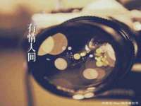 保定白沟新城关红花店