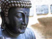 保定白沟新城关红花店
