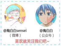 保定白沟新城关红花店