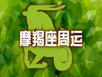 保定白沟新城关红花店