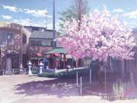 保定白沟新城关红花店