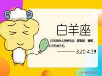 保定白沟新城关红花店