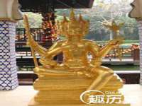 保定白沟新城关红花店